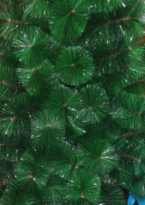 Сосна зеленая 30см