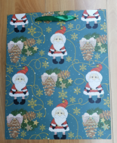 Пакет подарочный Дед Мороз и шишки 9103В