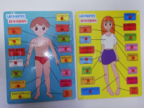 Игра Логическая Изучаем строение человека/дерево