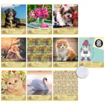 Тетрадь 48л клетка Микс-38