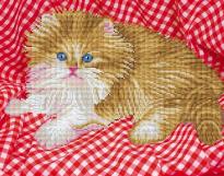 Мозаика алмаз Бело-рыжий котенок 40х50см